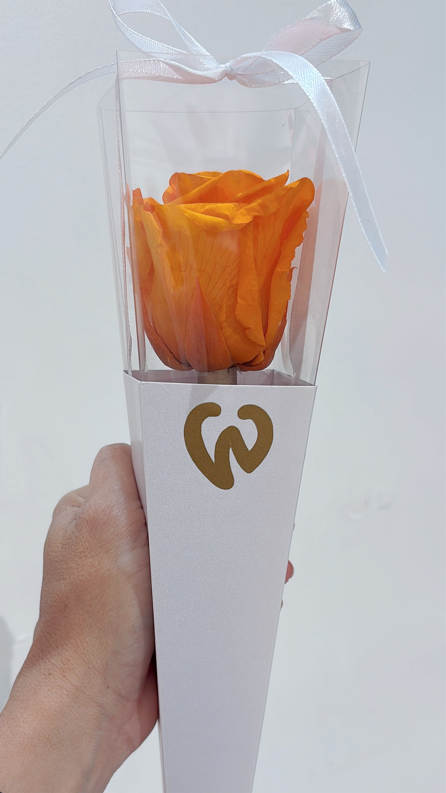 Preserved Rose in a Box