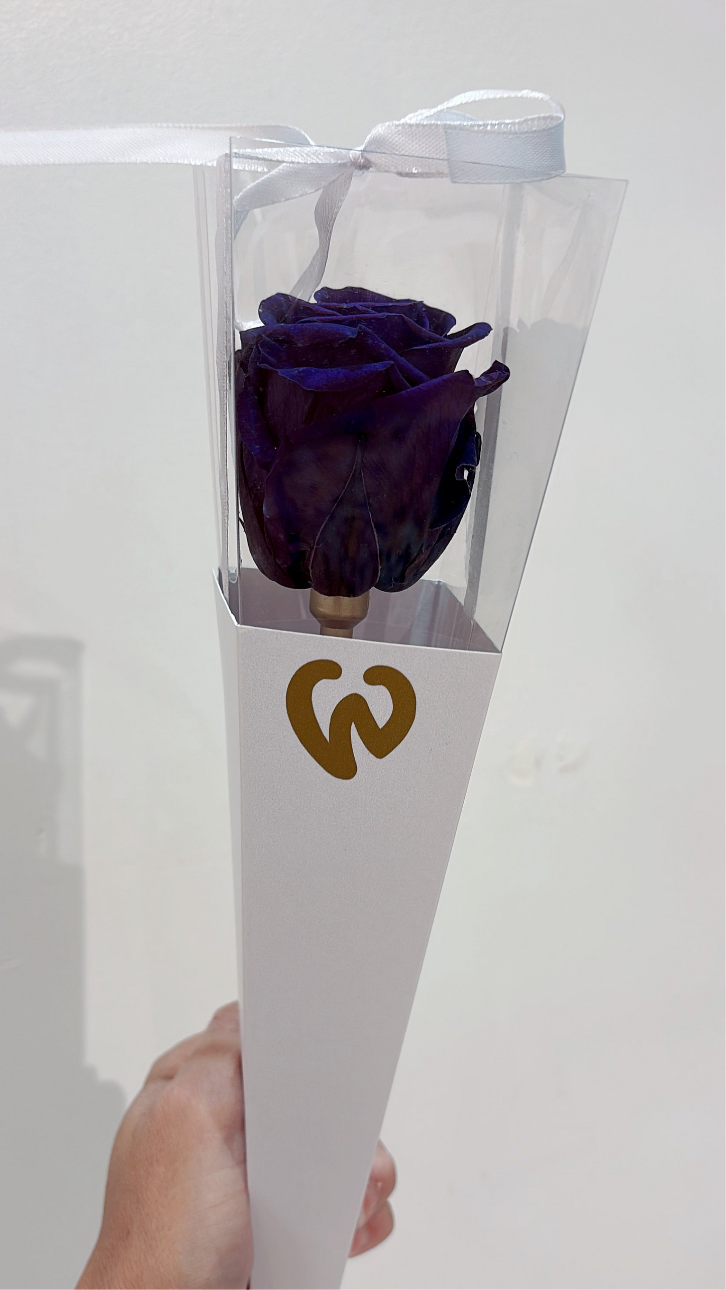 Preserved Rose in a Box