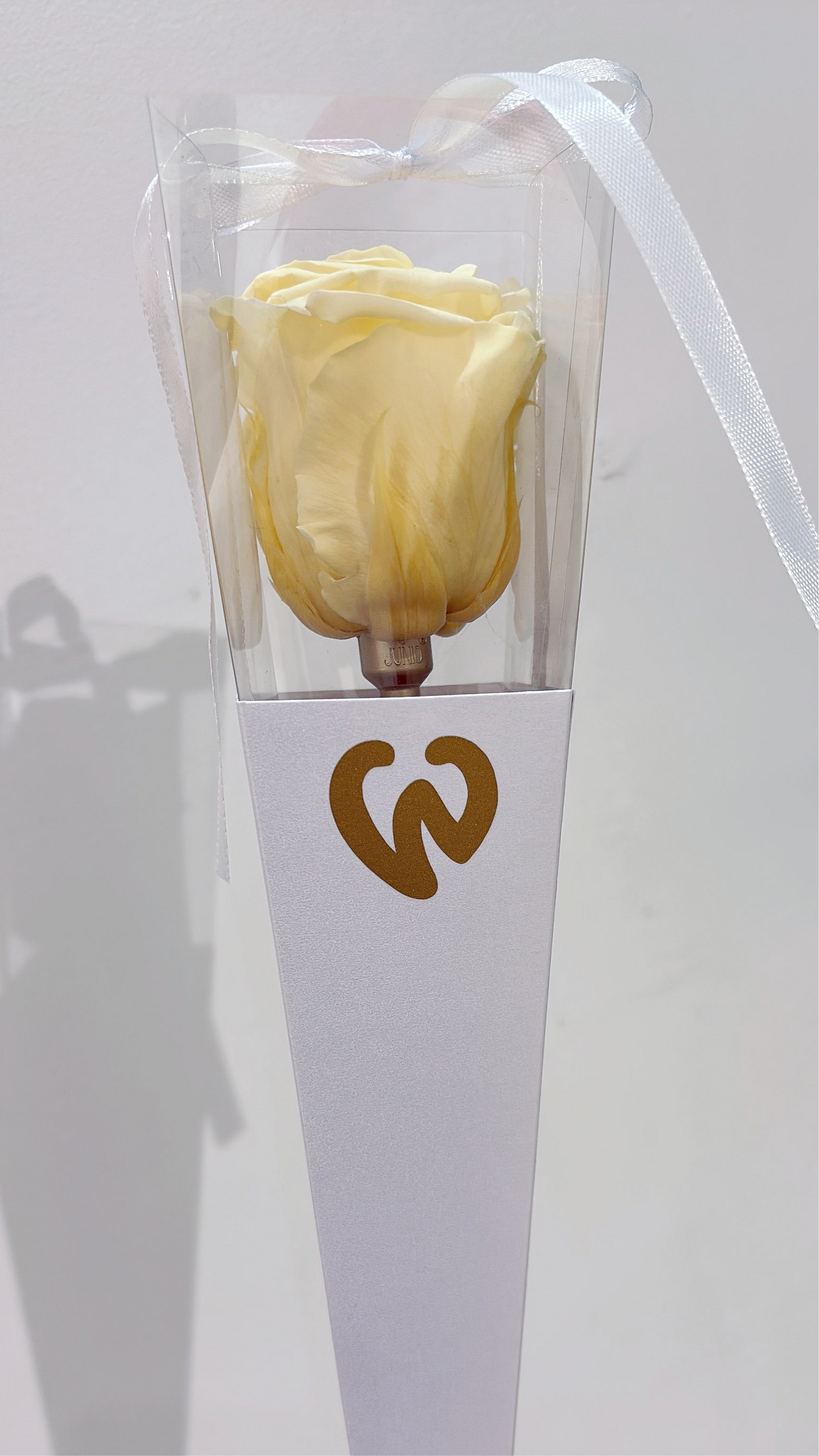 Preserved Rose in a Box