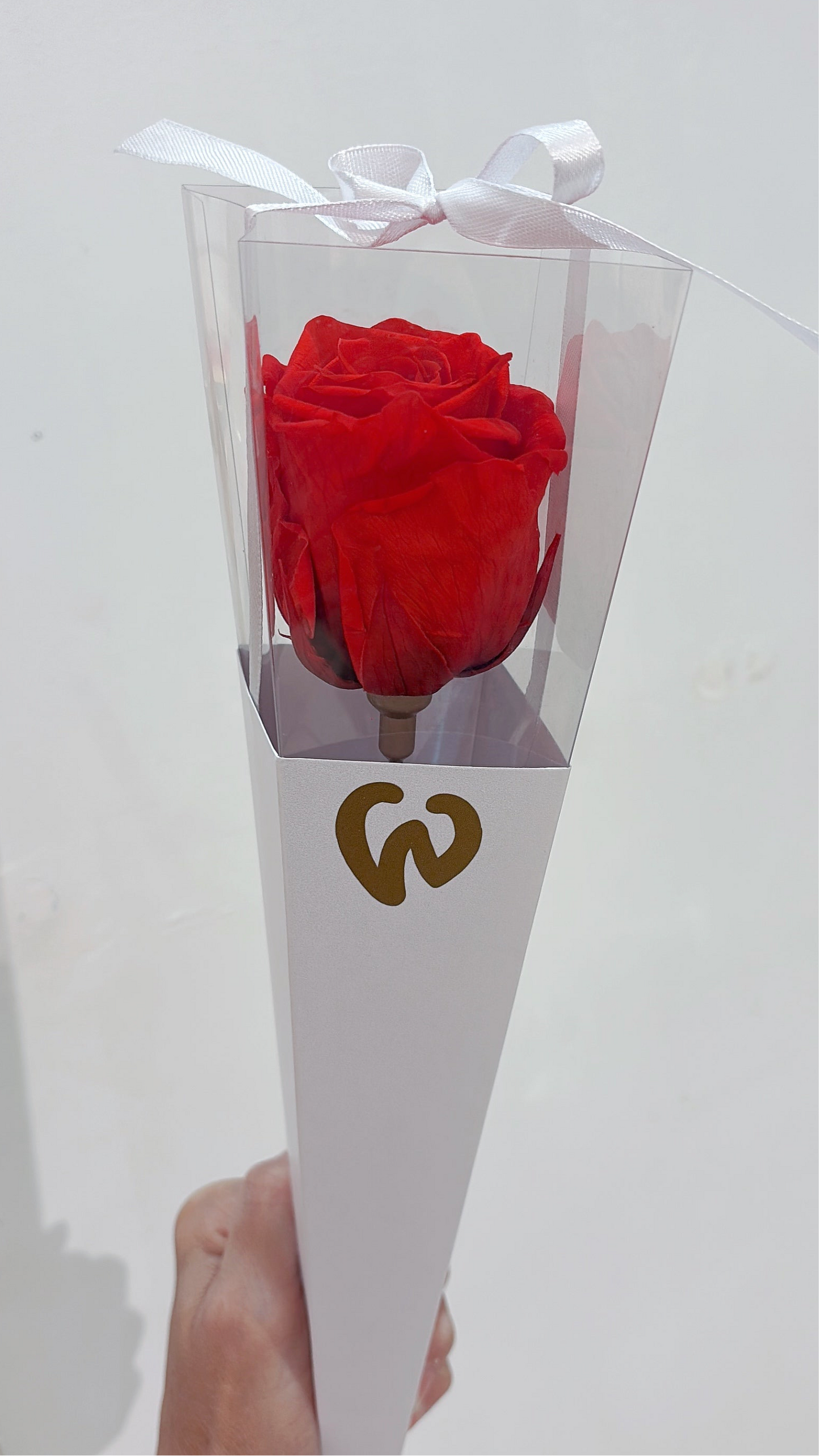 Preserved Rose in a Box
