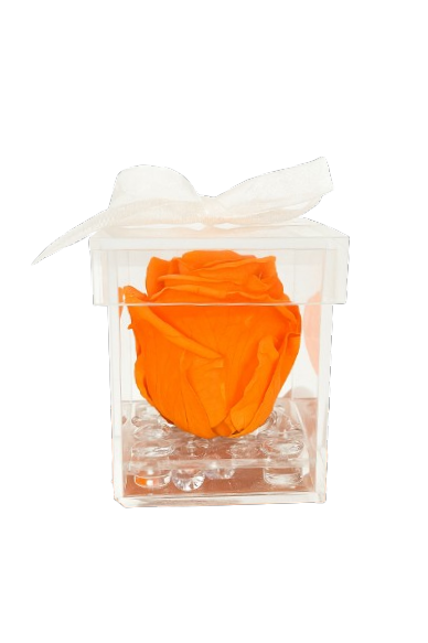 Gorgeous Preserved Rose