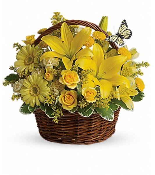 Basket Full of Wishes