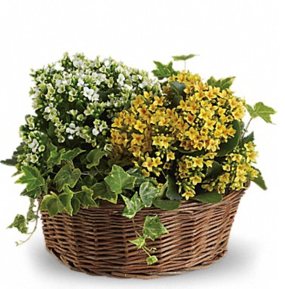 Basket of Joy