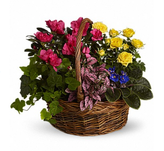 Blooming Garden Basket