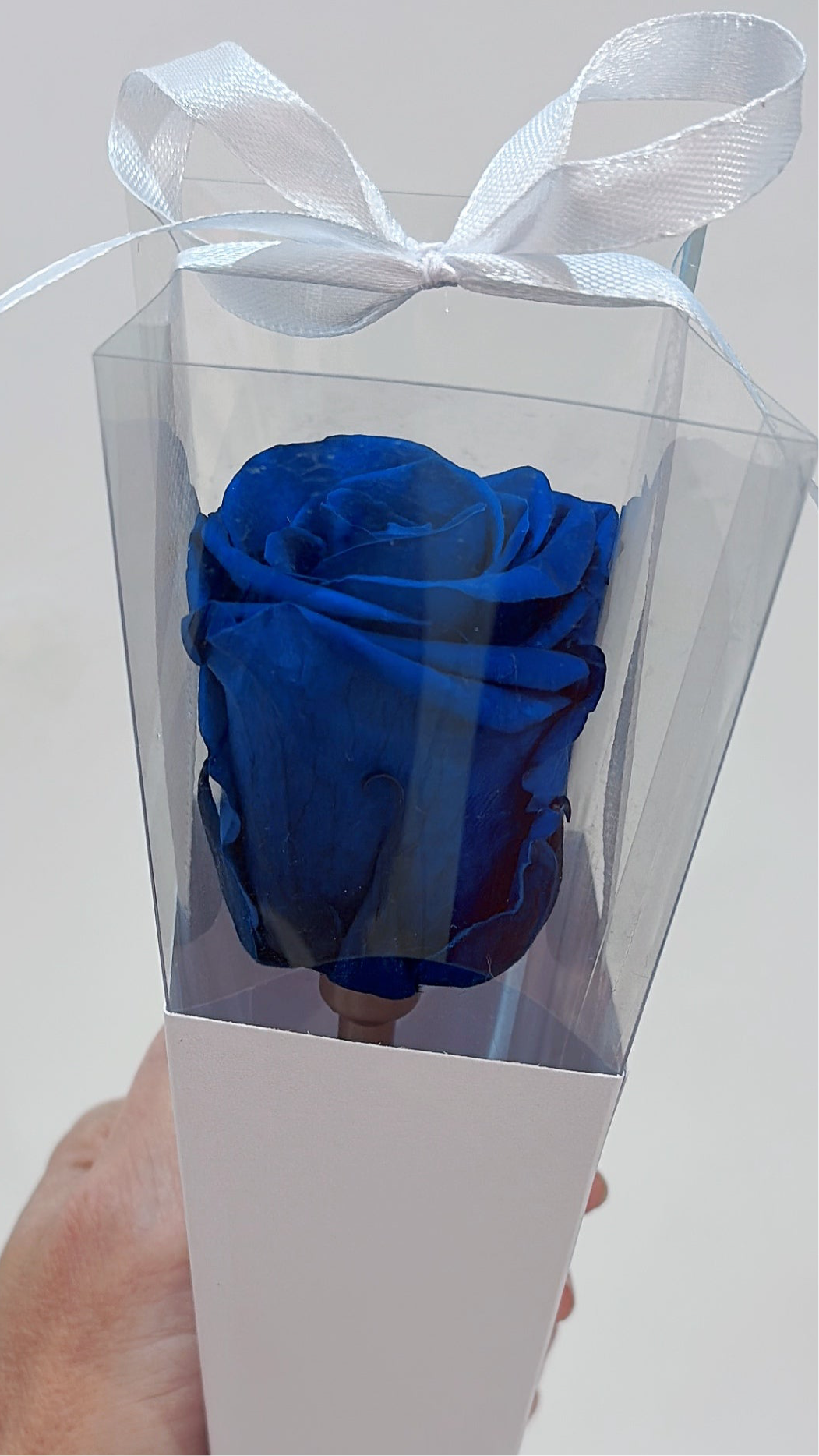 Preserved Rose in a Box