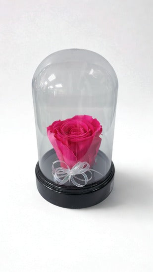 Enchanted Preserved Rose