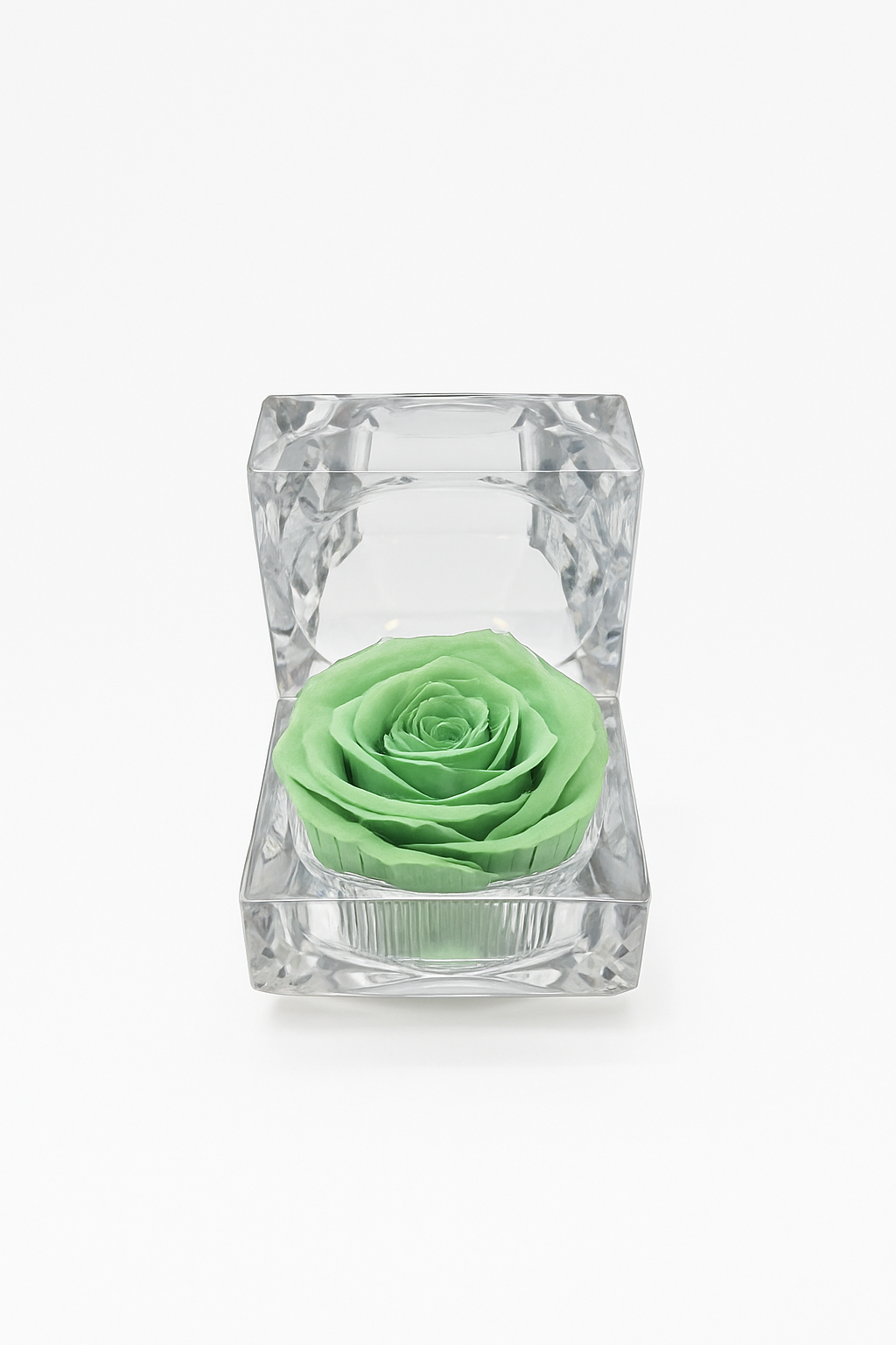 Evermore Mini Rose