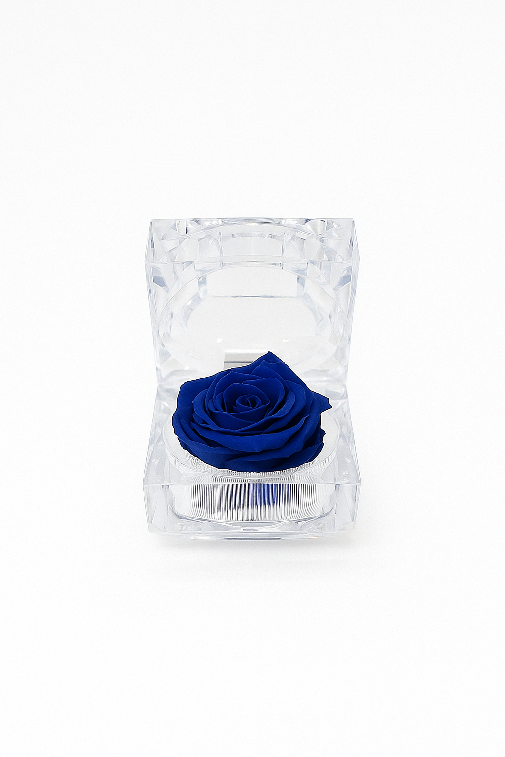 Evermore Mini Rose