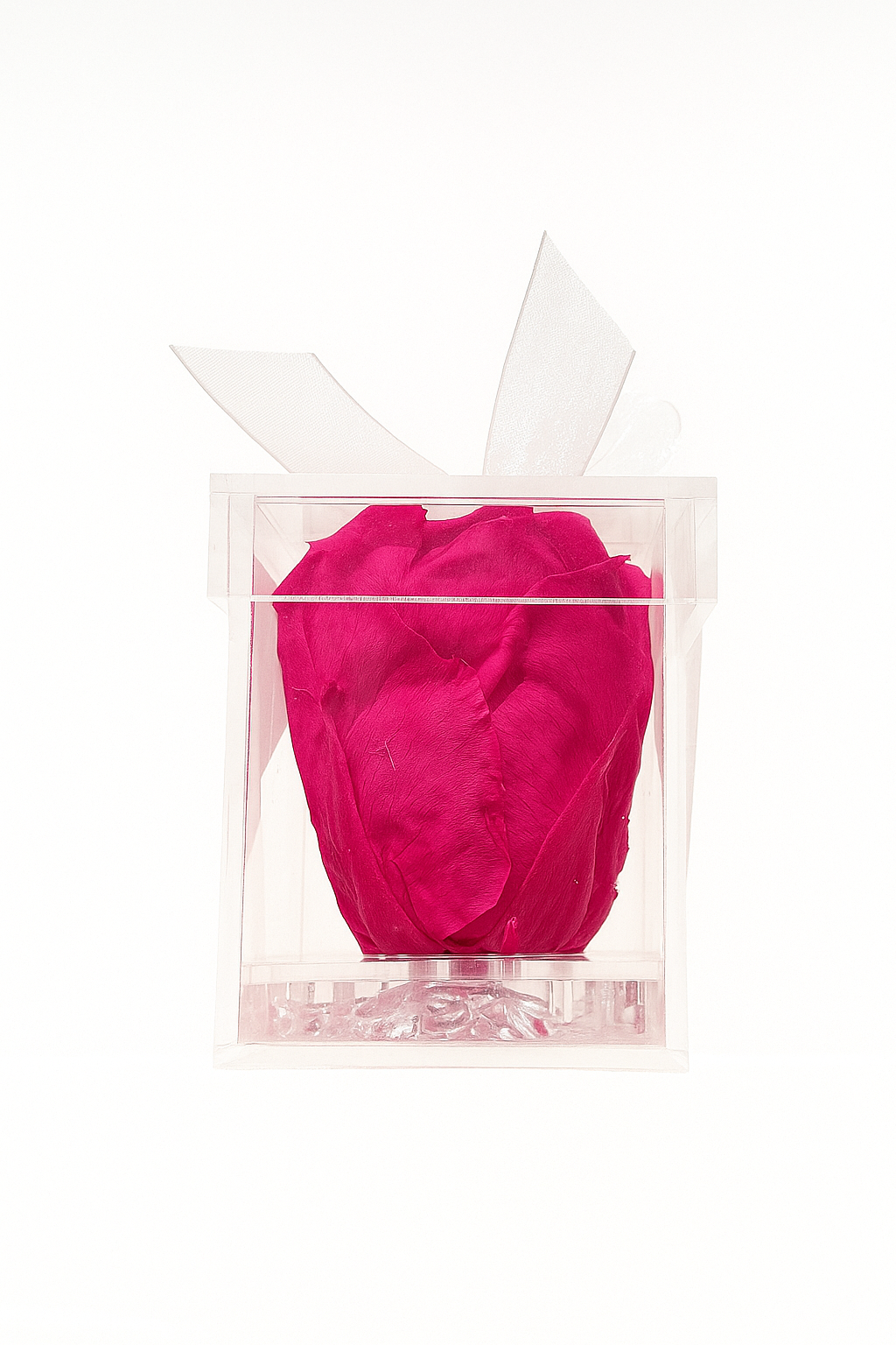 Gorgeous Preserved Rose