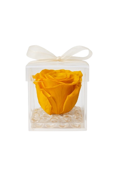 Gorgeous Preserved Rose
