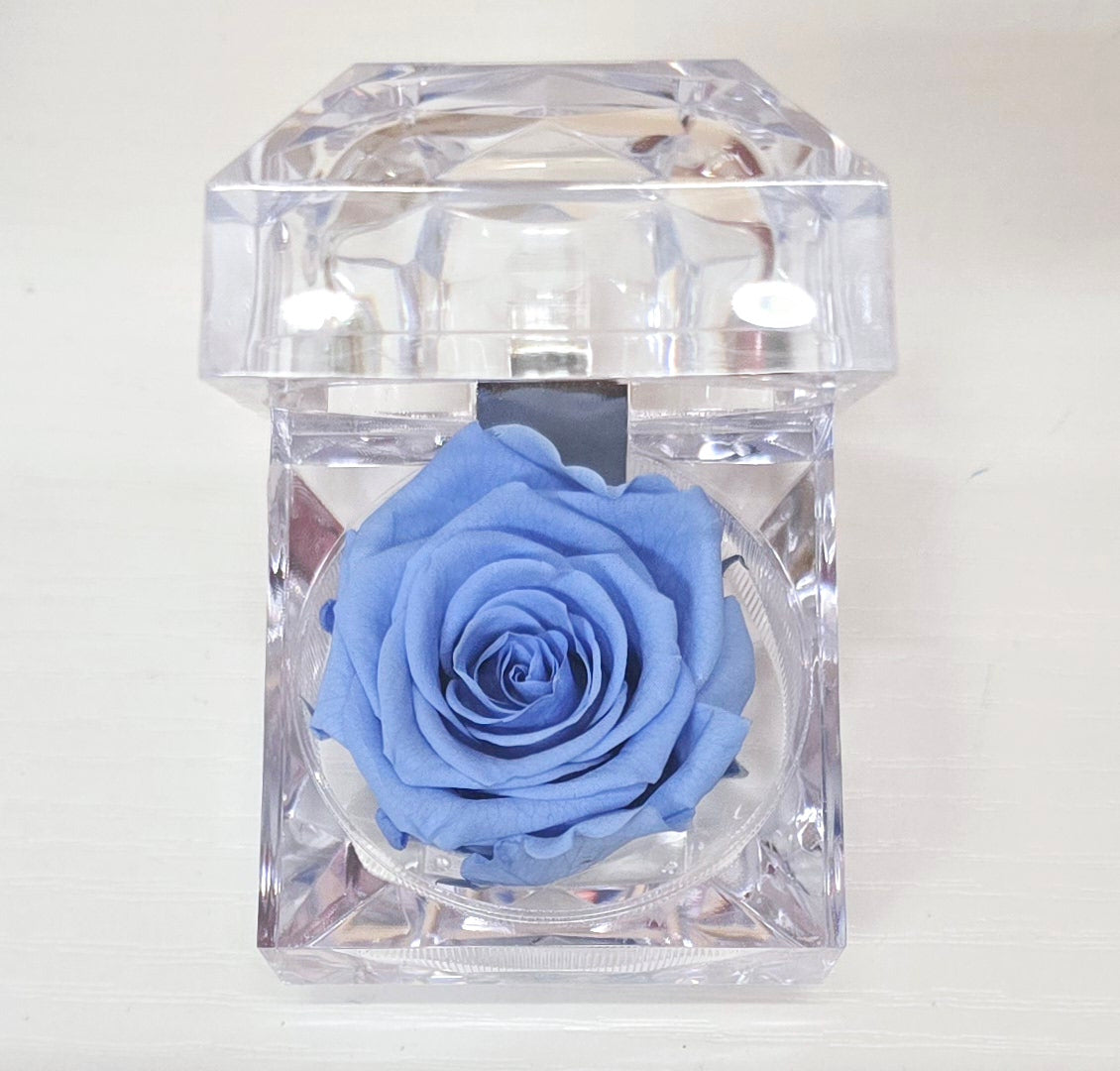 Evermore Mini Rose