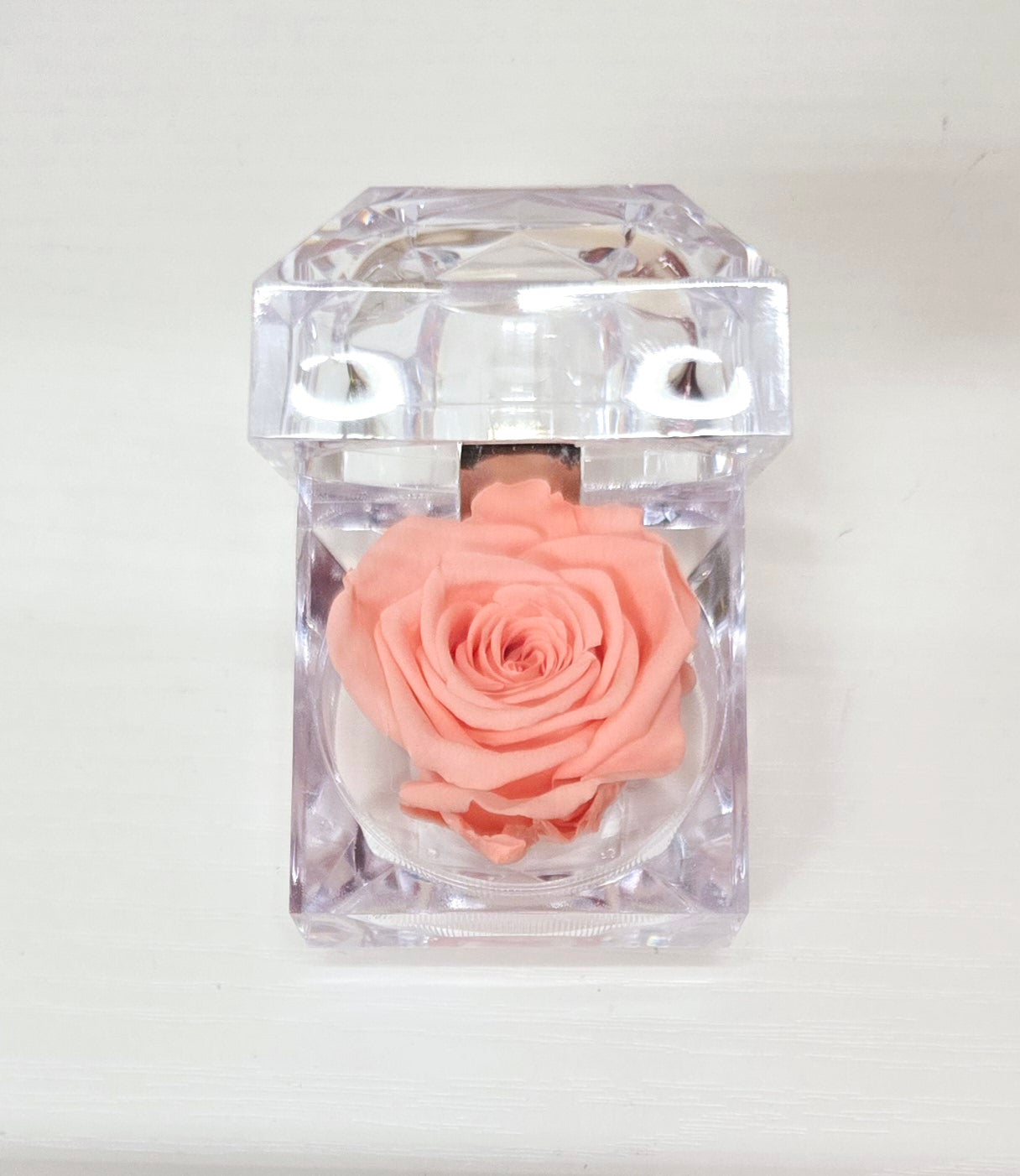 Evermore Mini Rose
