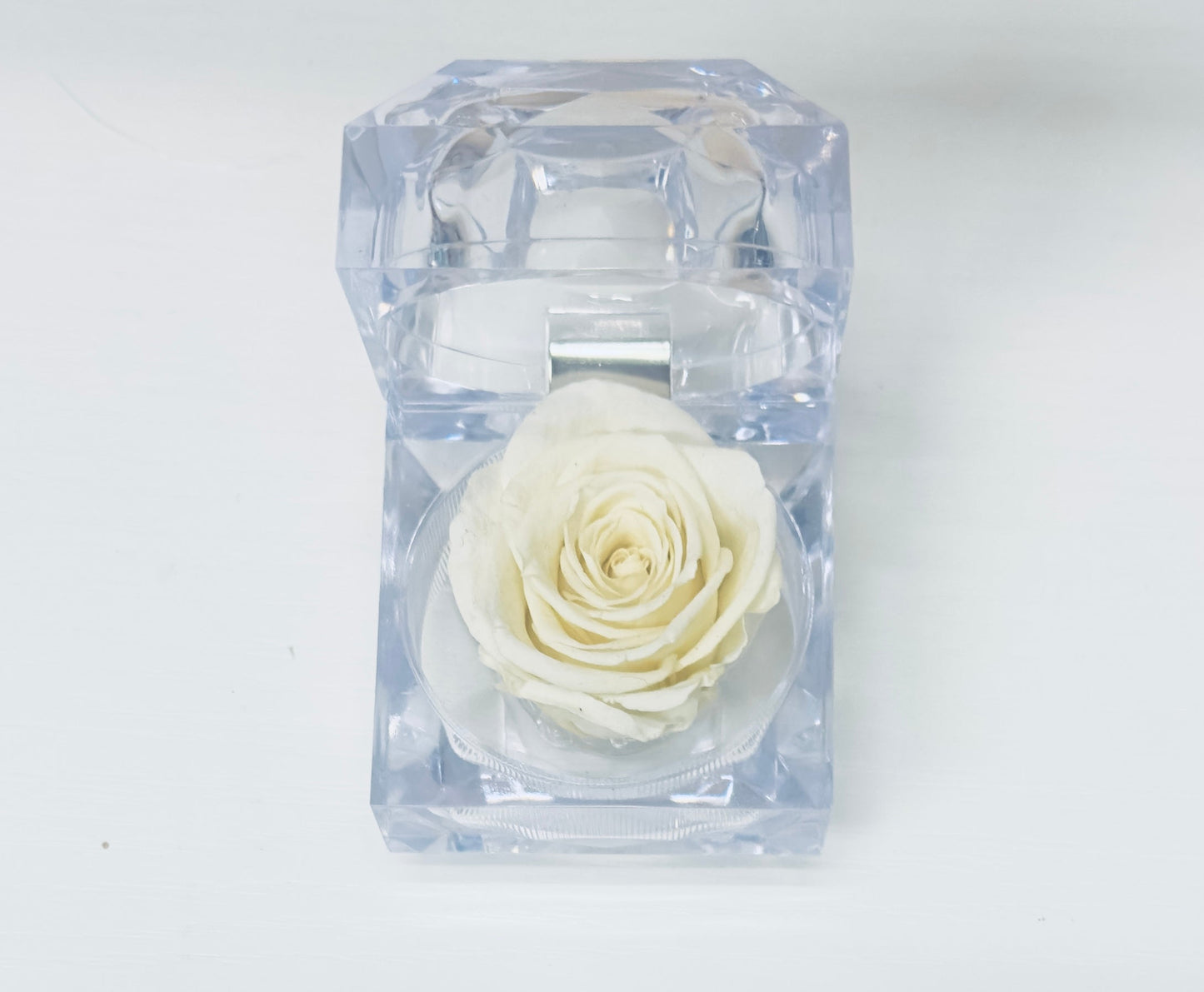 Evermore Mini Rose