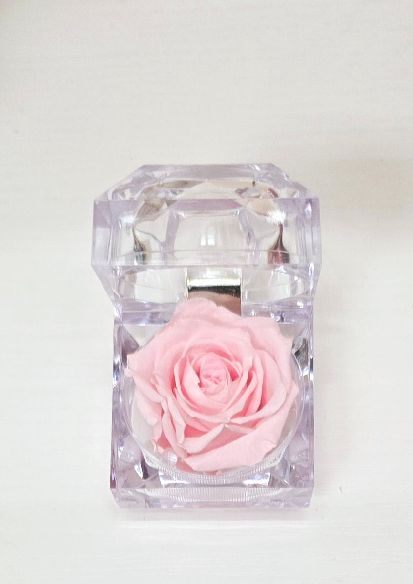 Evermore Mini Rose