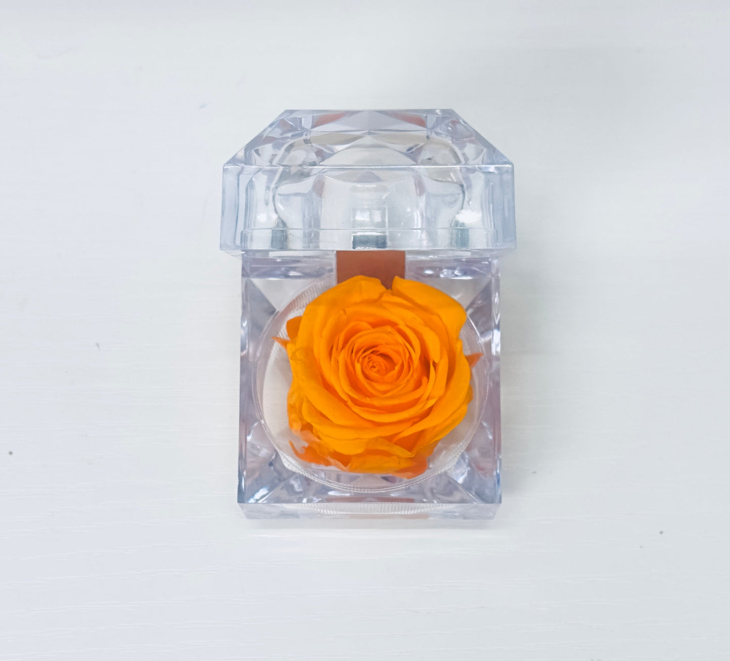 Evermore Mini Rose