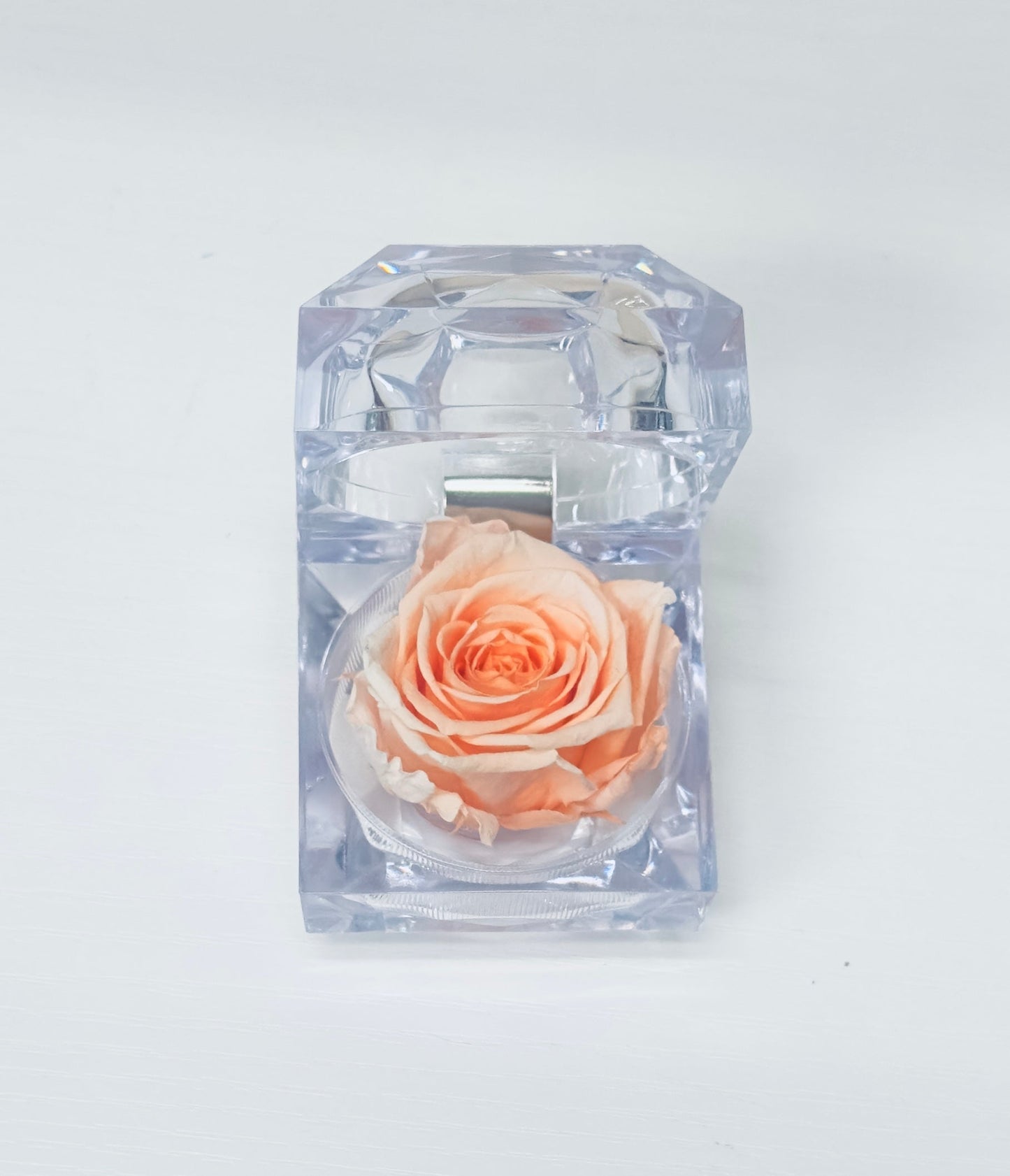 Evermore Mini Rose