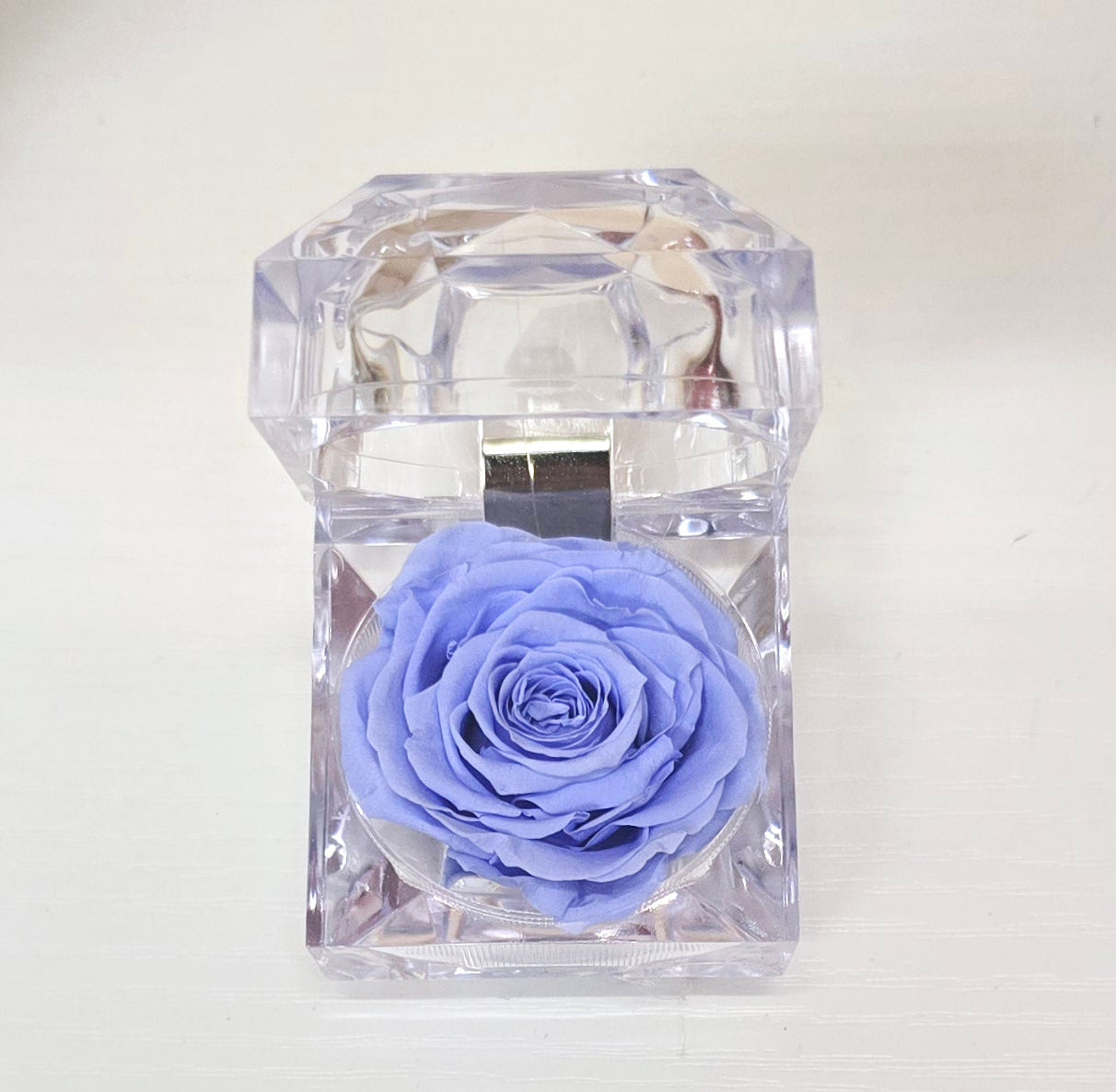 Evermore Mini Rose