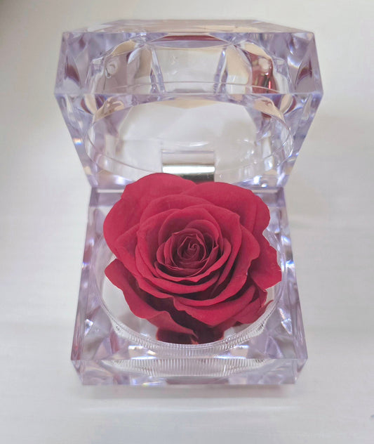 Evermore Mini Rose