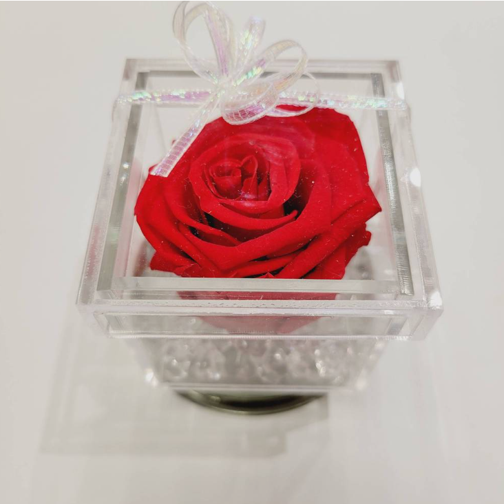 Gorgeous Preserved Rose