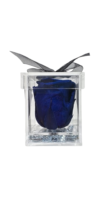 Gorgeous Preserved Rose