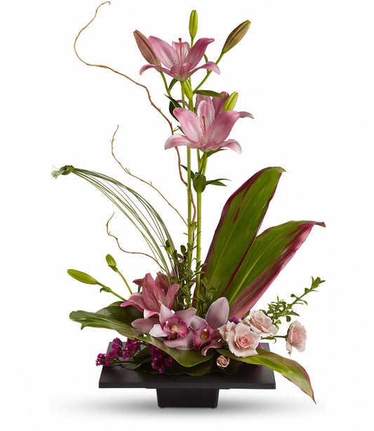Imagination Blooms with Cymbidium Orchids
