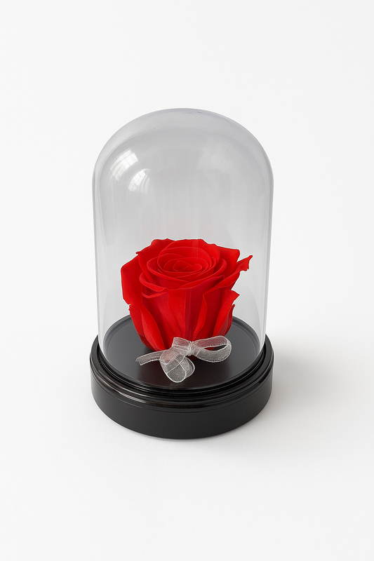 Enchanted Preserved Rose
