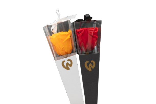 Preserved Rose in a Box