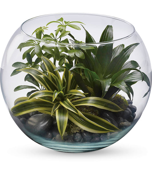 Sphere of Tranquility Terrarium