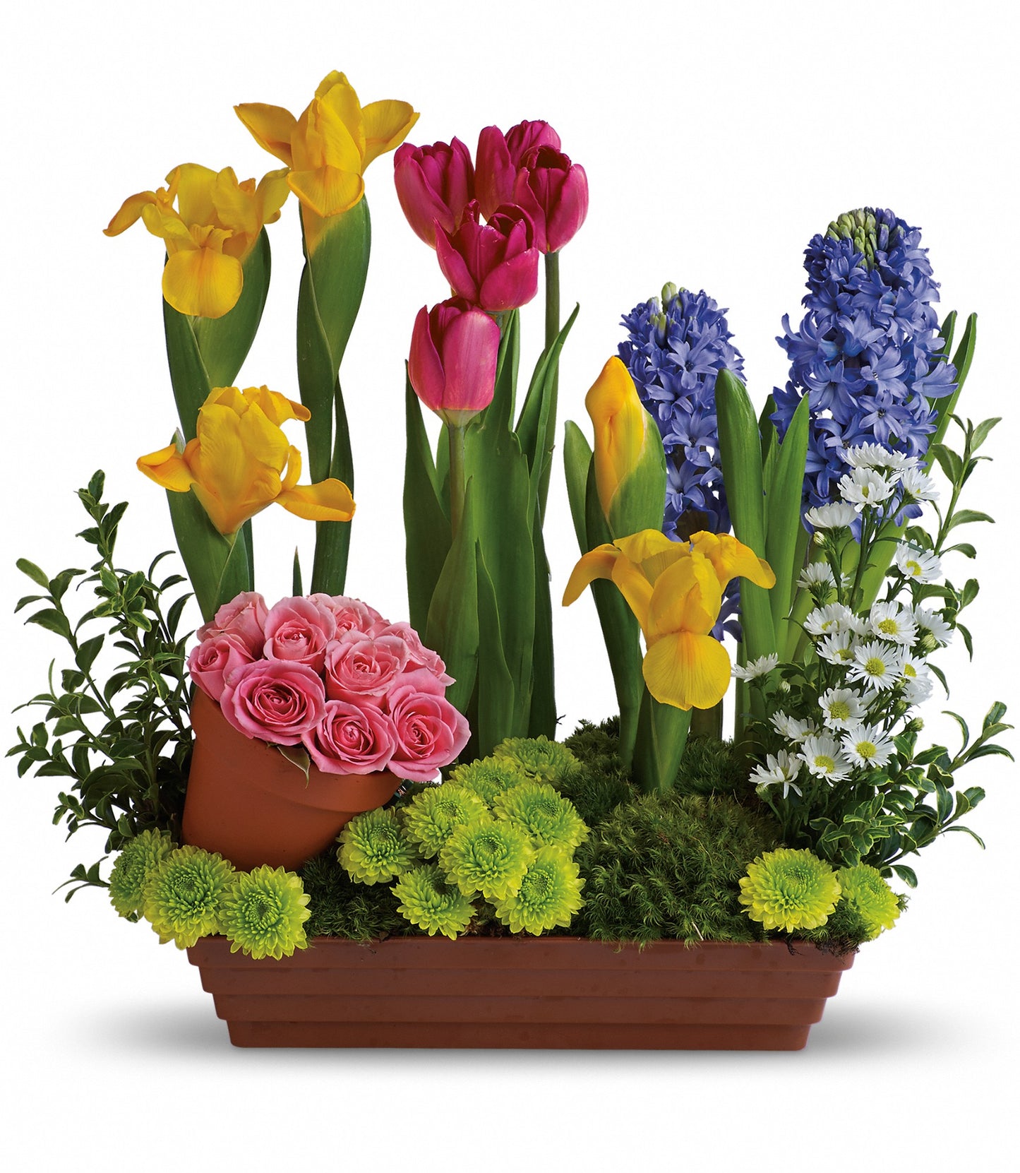 Spring Favourites
