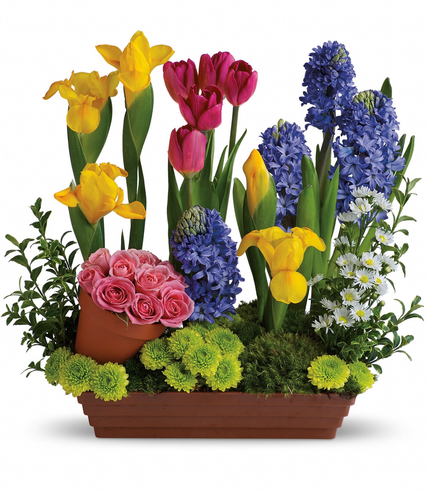 Spring Favourites