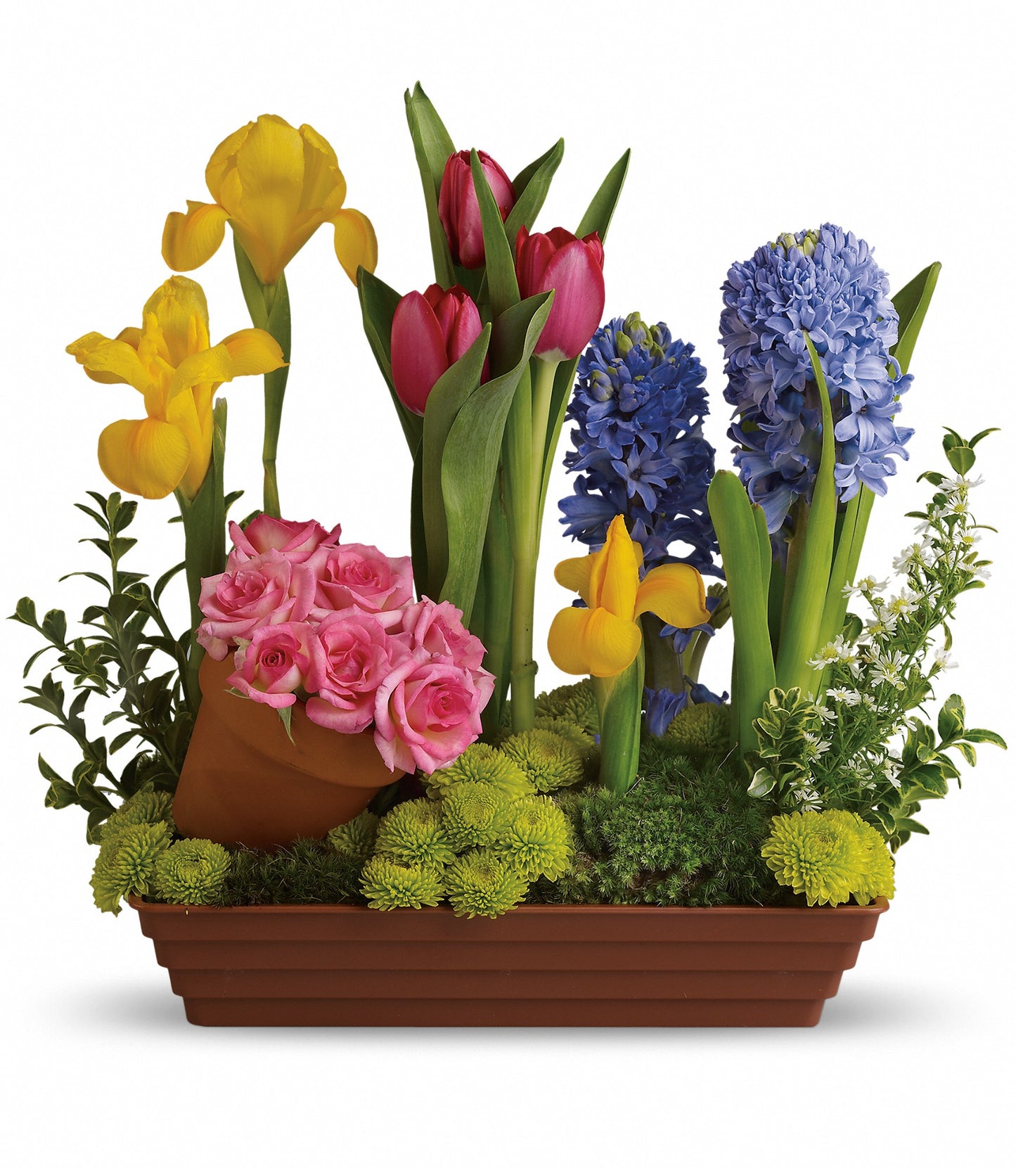 Spring Favourites