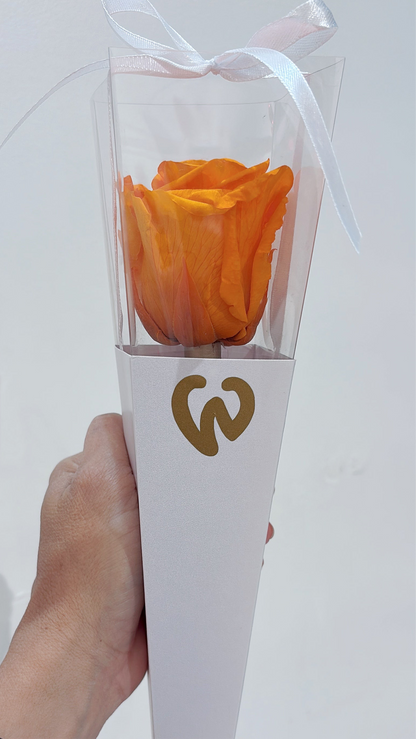 Preserved Rose in a Box
