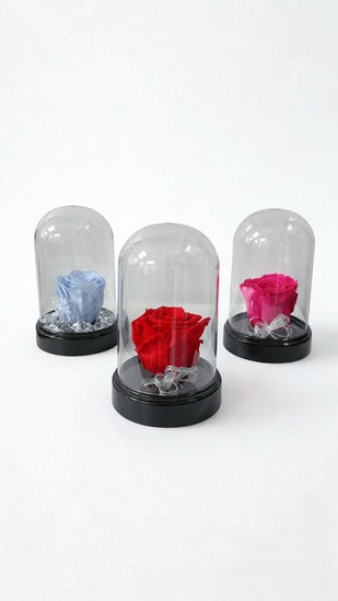 Enchanted Preserved Rose