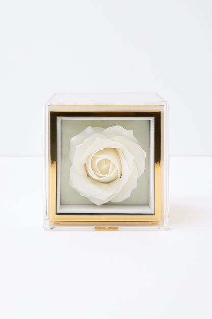 Elegance of a Rose