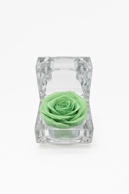 Evermore Mini Rose