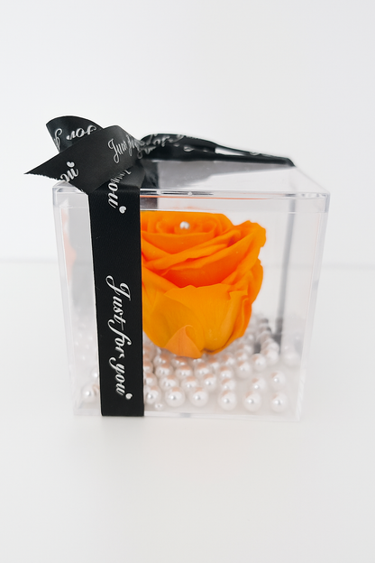 Petal Promise