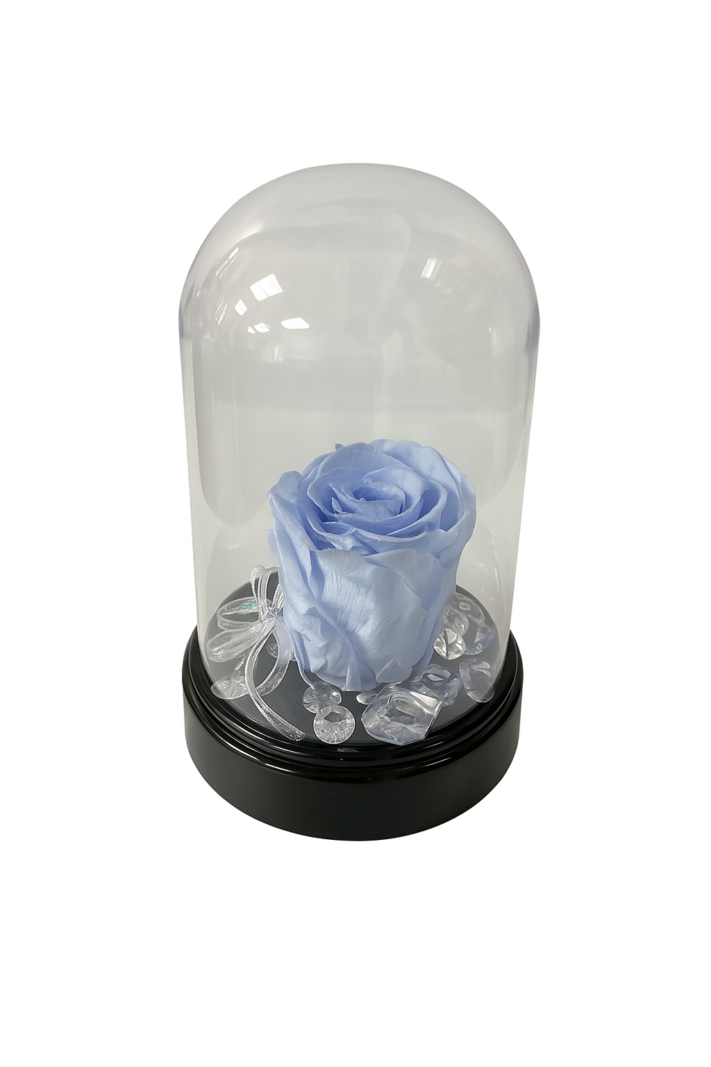 Enchanted Preserved Rose