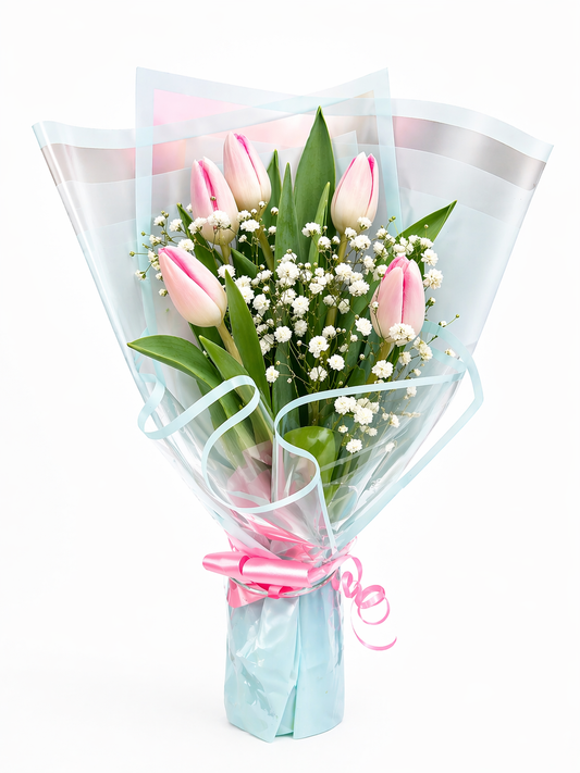 Dreams Tulips