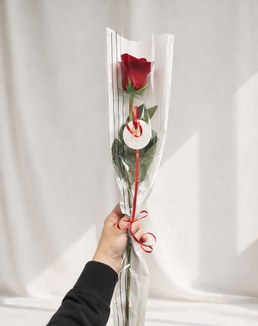 Thinking of You