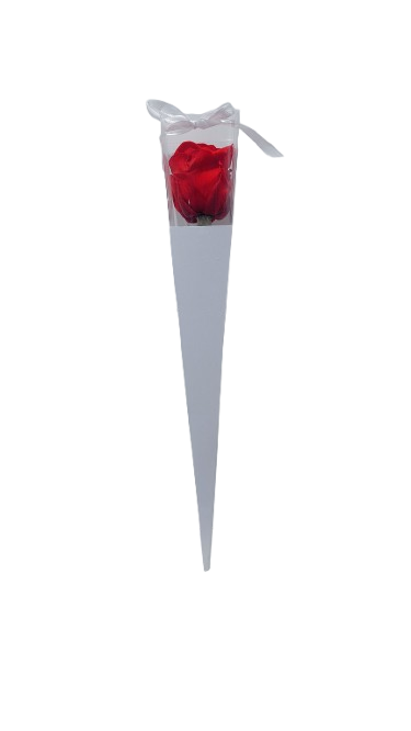 Preserved Rose in a Box