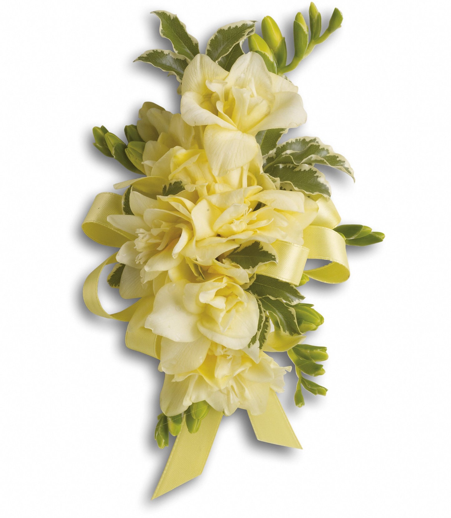 Let Love Shine Corsage