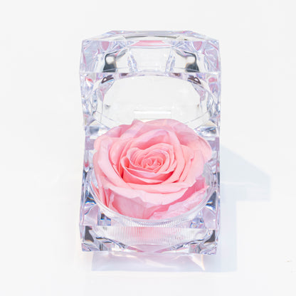 Evermore Mini Rose