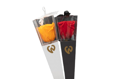 Preserved Rose in a Box