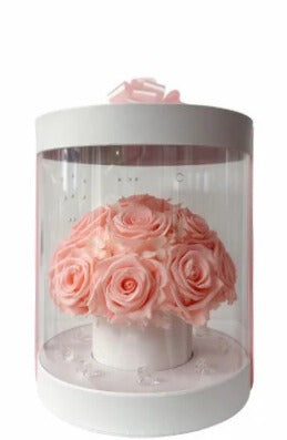 Blush Eternity